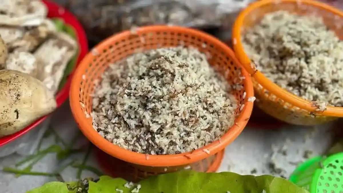 Amloi Tup: The Significance Of Red Ant Eggs In Assamese Cuisine