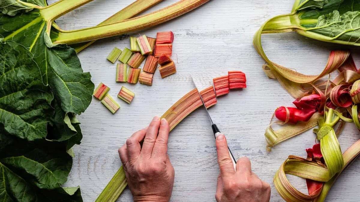 Rhubarb's Tangy Twist: The History And Rhubarb Delights To Try 