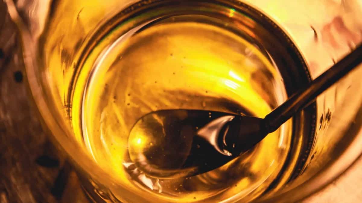 Coconut To Mustard; 7 Types Of Cooking Oils