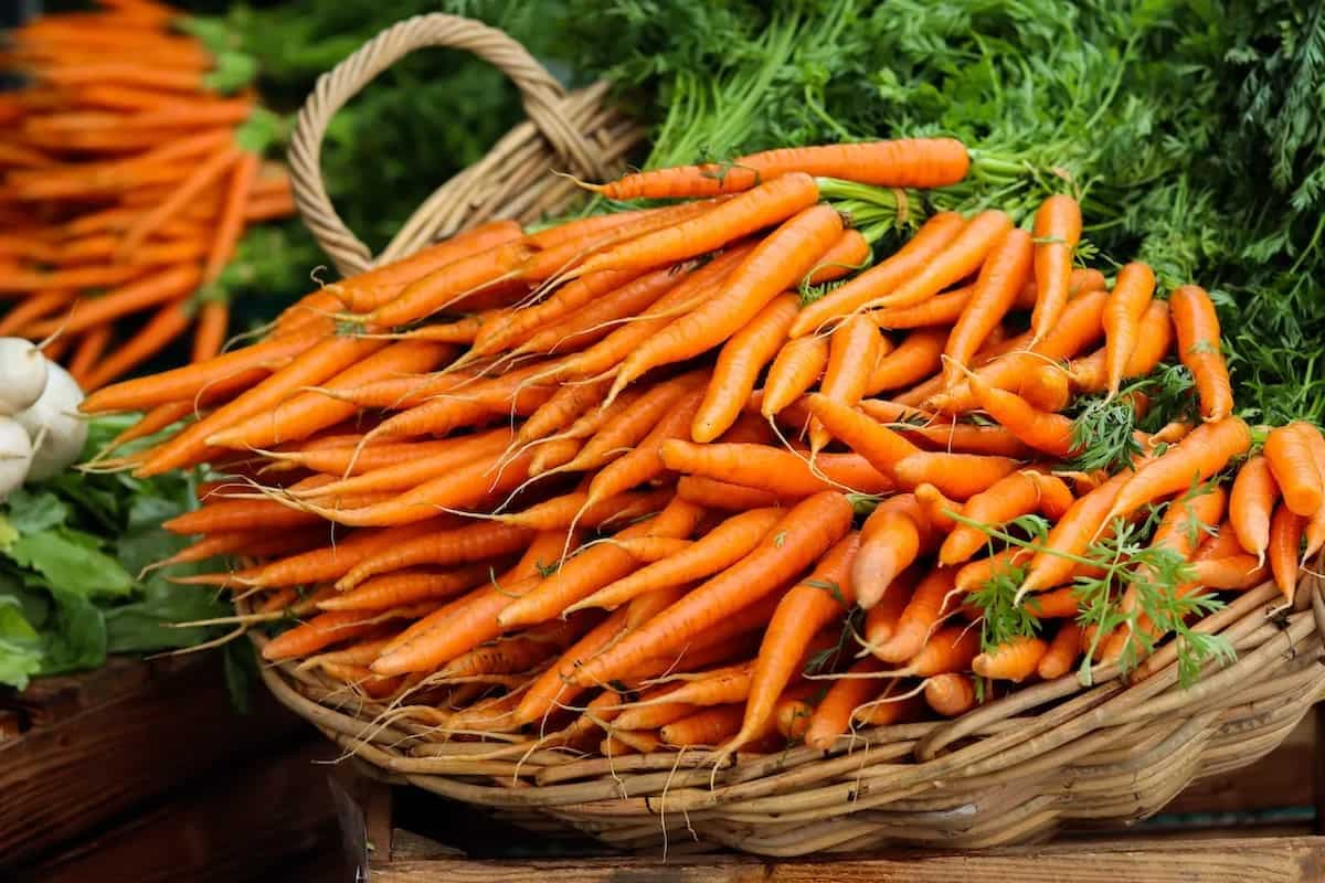 Want To Shed Belly Fat? 8 Weight Loss Benefits Of Eating Carrots