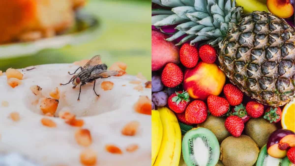 7 Effective Kitchen Tips To Keep Flies Away From Food