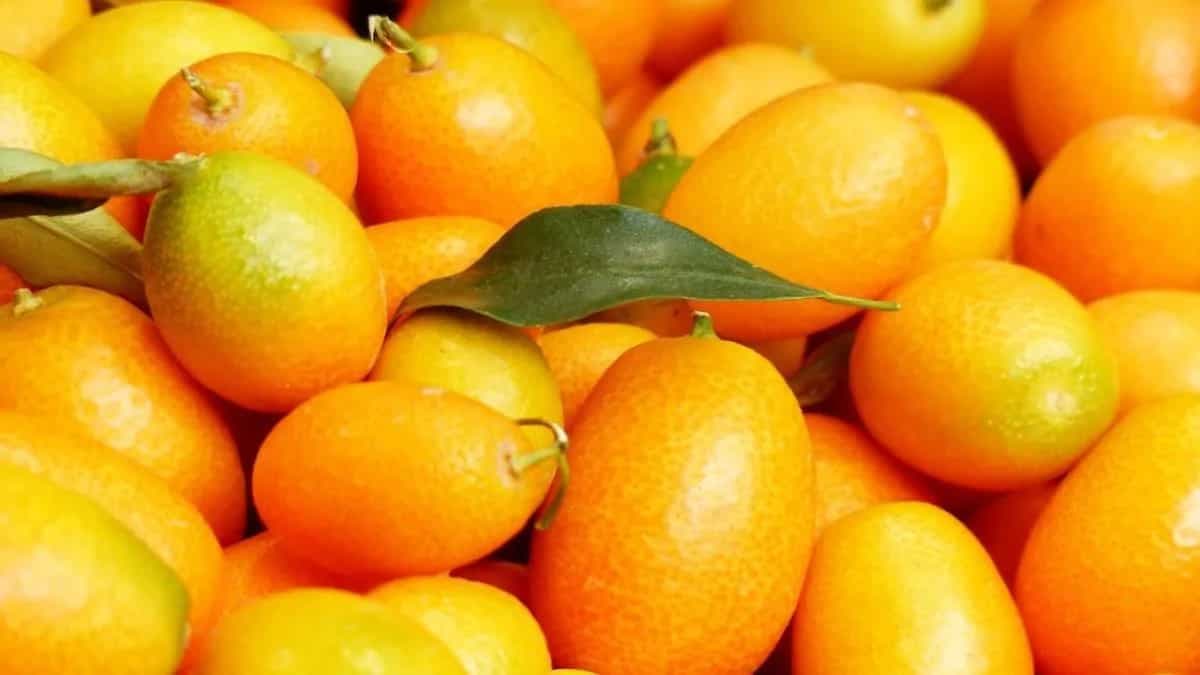 Kumquat, The Fruit With 7 Interesting Facts