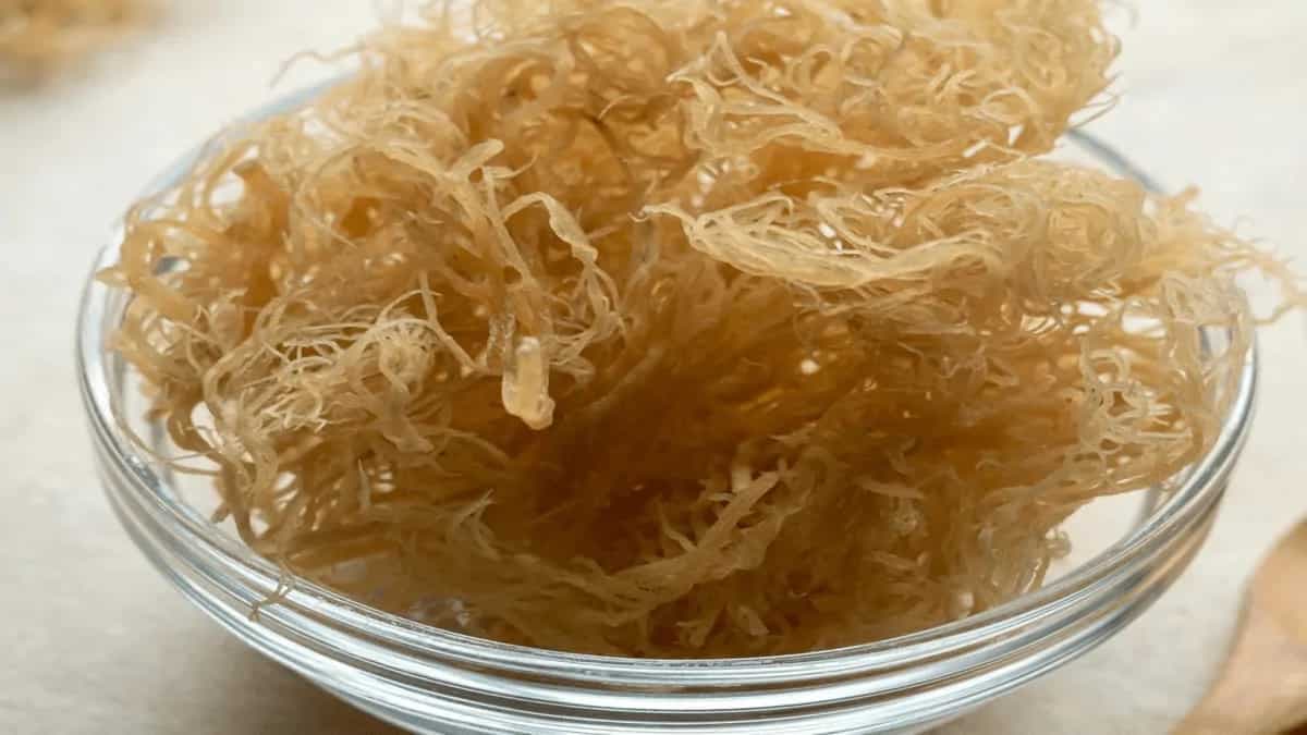 Sea Moss Is The Boss Of Superfoods In 2023! Know Why!