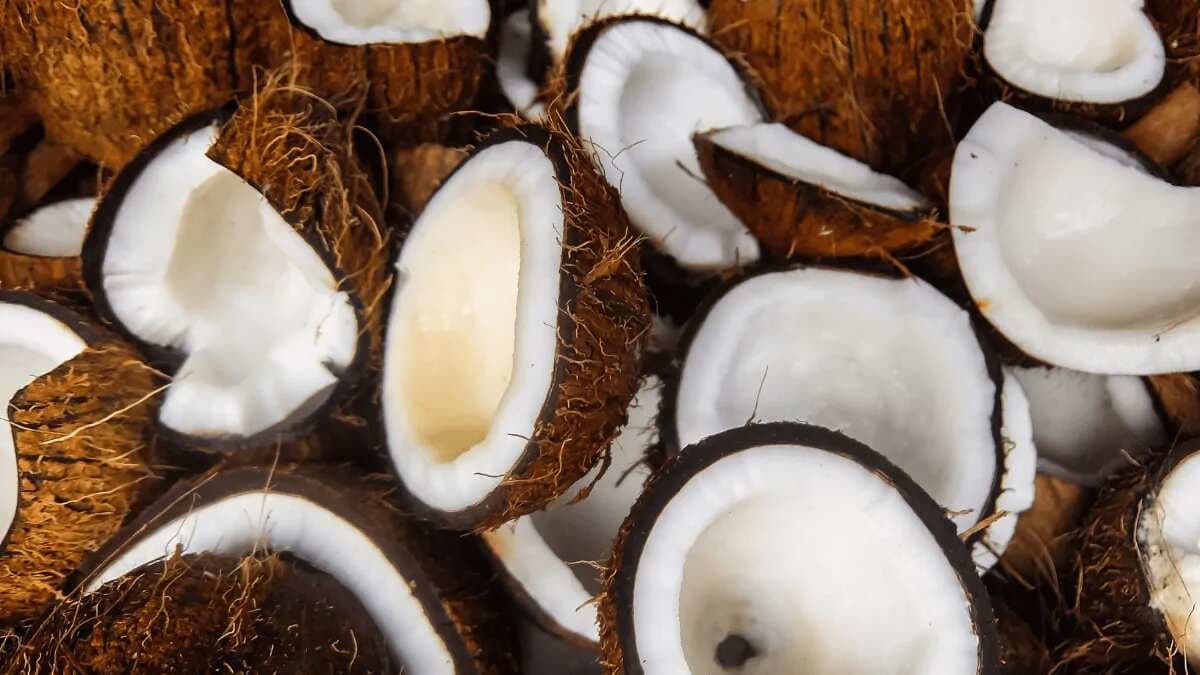 Coconut Across The World: 7 Must Try Dishes With Coconut