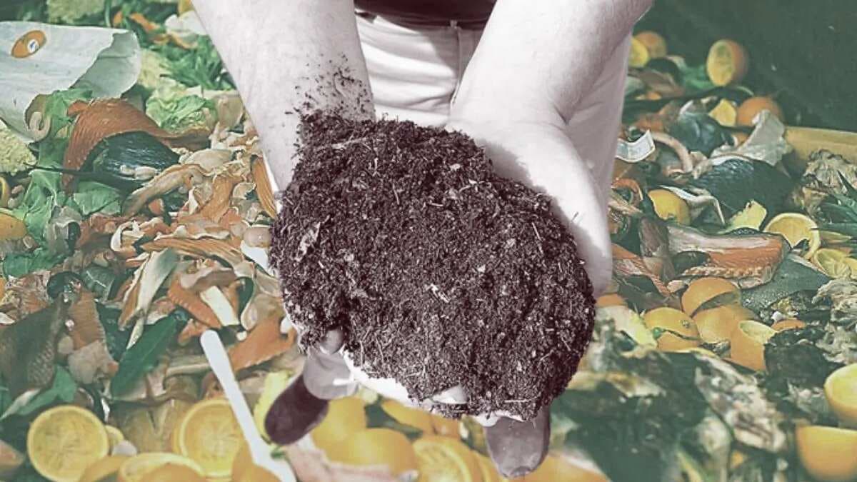 Here Are Tips To Converting Food Scraps Into Valuable Compost