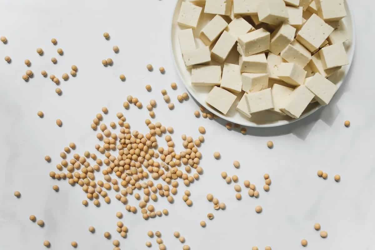 Tofu: The Development Of San Jose's Soybean Economy