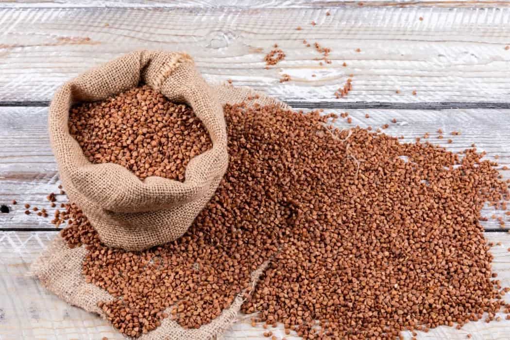 World Environment Day 2023: 10 Ancient Grains Of India