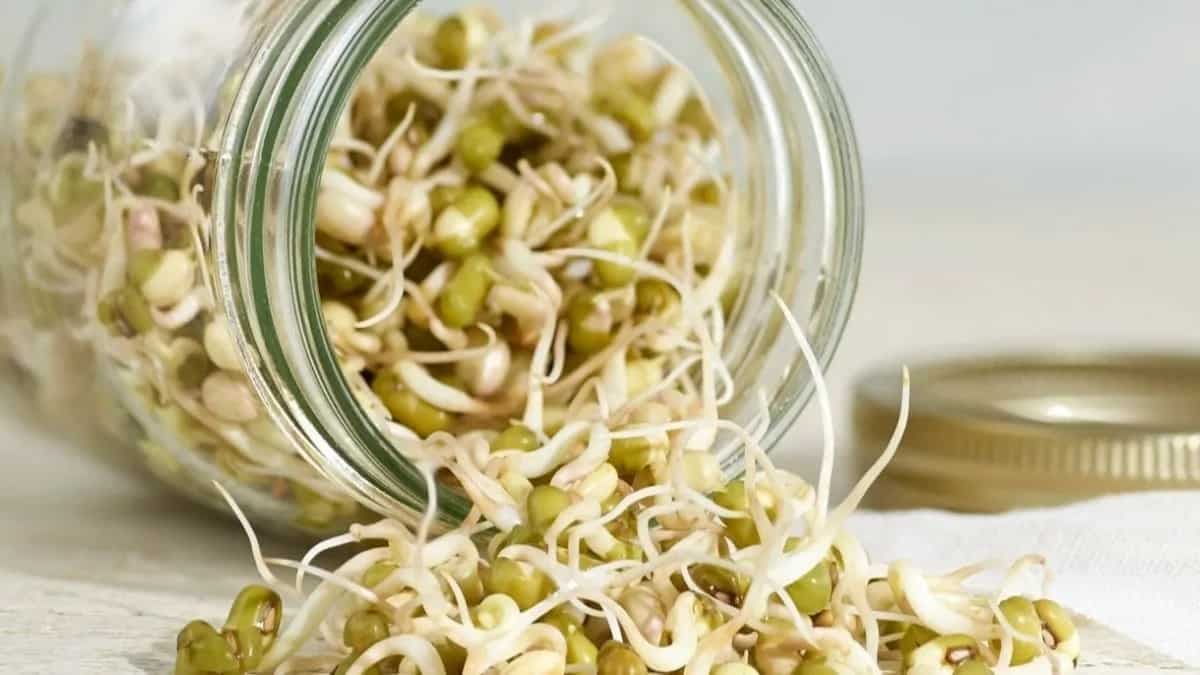 5 Expert Tips To Keep Sprouts Fresh For Longer 
