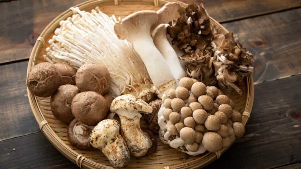 6 Health Benefits Of Eating Mushrooms; Immunity And More