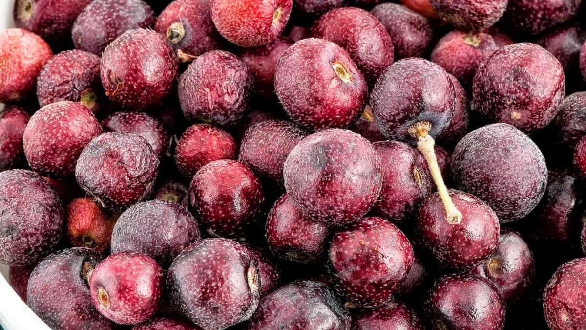 7 Health Benefits Of Eating Falsa In Summer