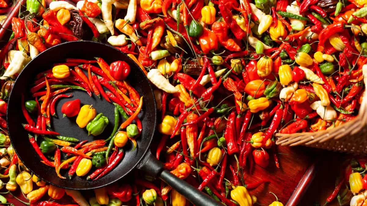 The Lure Of The World's Hottest Pepper