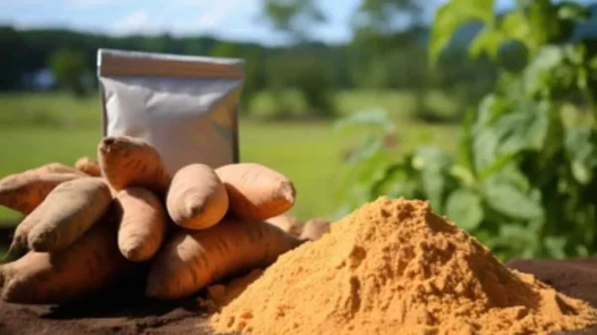 Tips For Cooking With Sweet Potato Flour