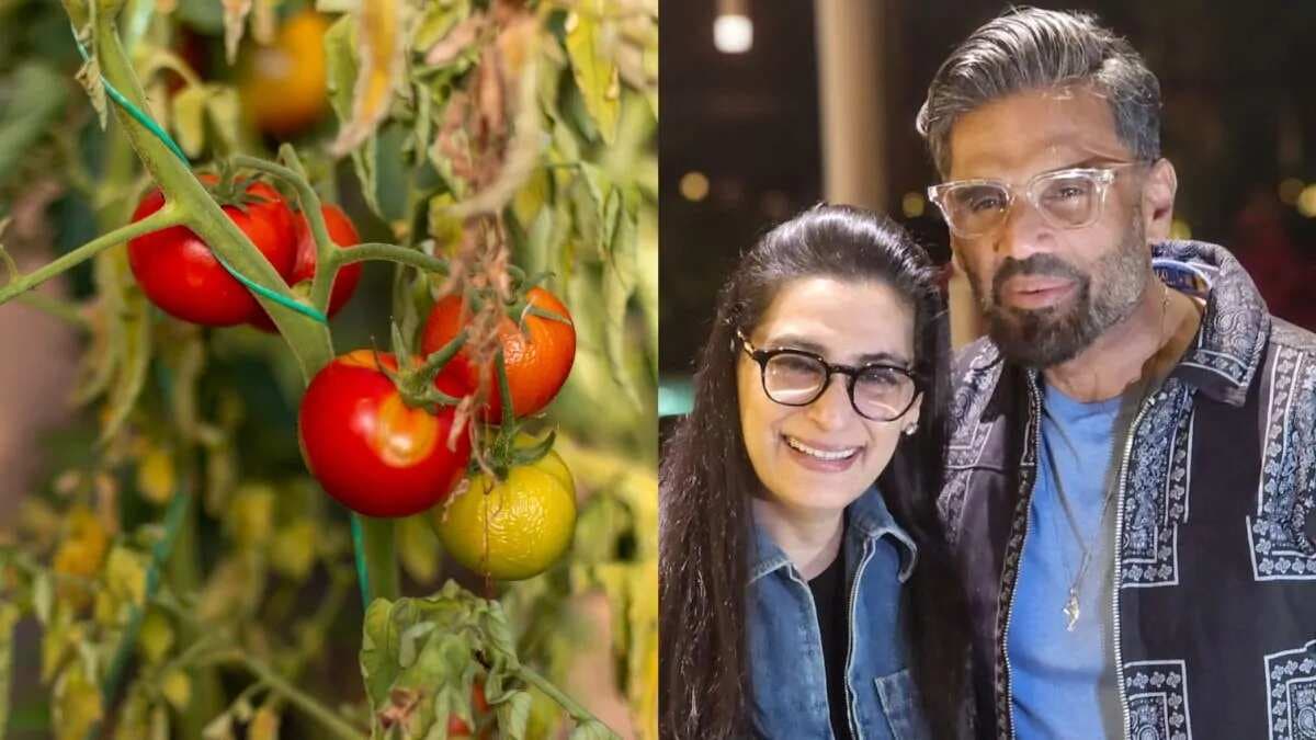 Amid High Tomato Prices, Suniel Shetty Admits He Had To Cut Down