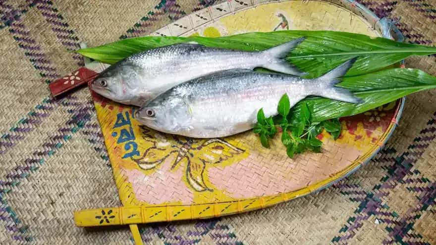 Lakshmi Puja 2024: Exploring The Significance Of The Joda Ilish