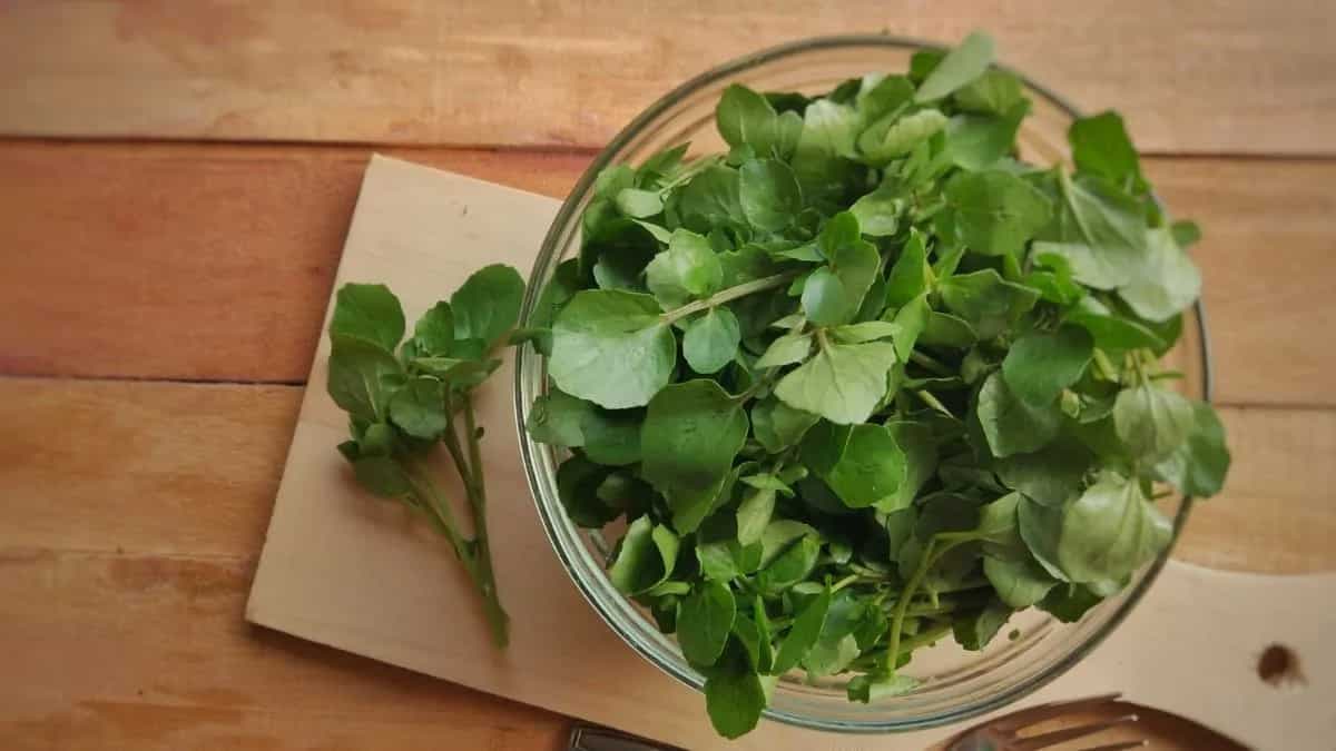 Watercress Named World's Healthiest Vegetable, Find Out Why