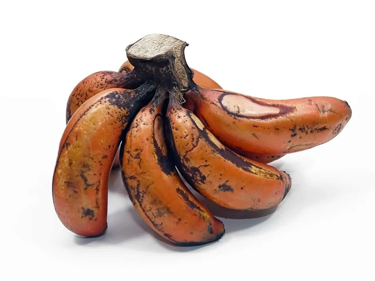 5 Dishes That You Can Make With The Unique Red Bananas