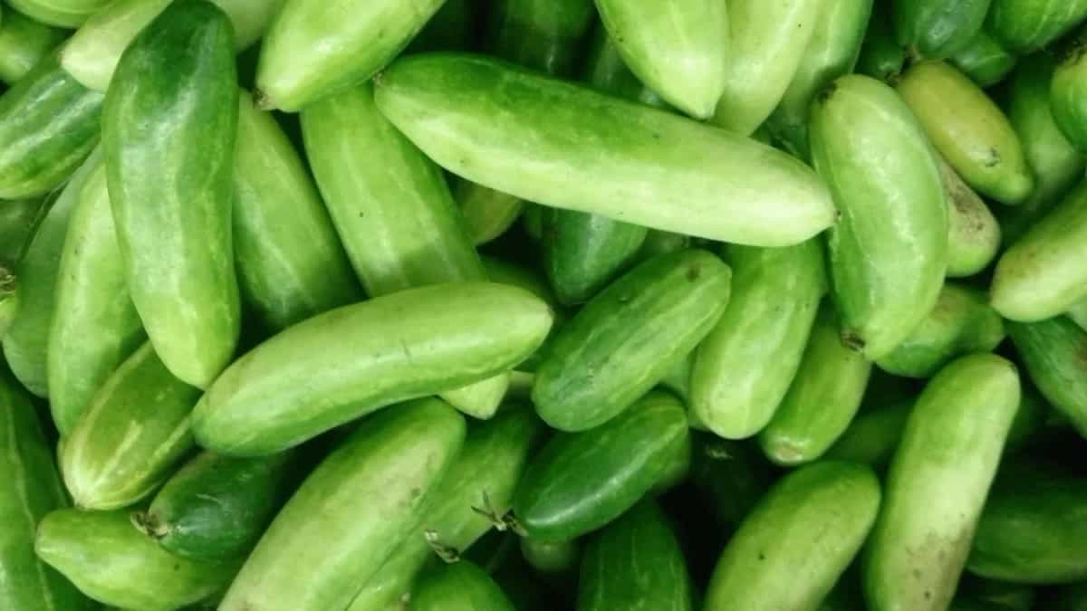 Tendli: 6 Easy And Delicous Ways To Cook With Ivy Gourd