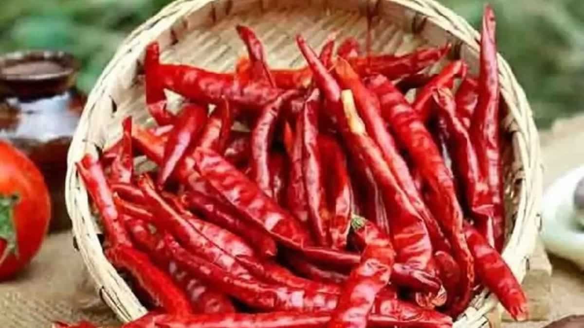 China Loves Guntur Chilies—How Did That Happen?