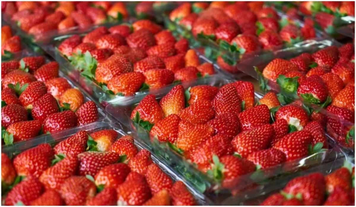 8 Strawberry Desserts To Enjoy In The Summer Months