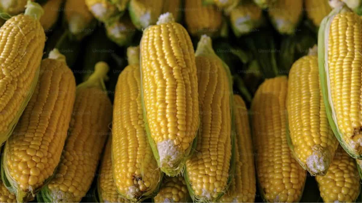 Take Monsoon Snacking Up A Notch By Cooking Corn On The Cob