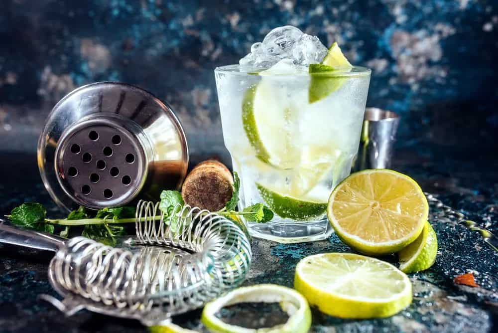 Gin: All You Need To Know About This Delightful Distilled Liquor