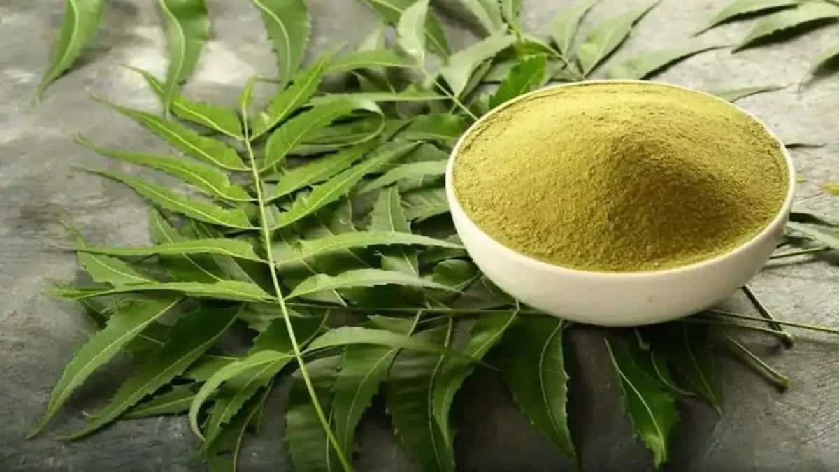 6 Neem Leaves Recipes For Monsoon