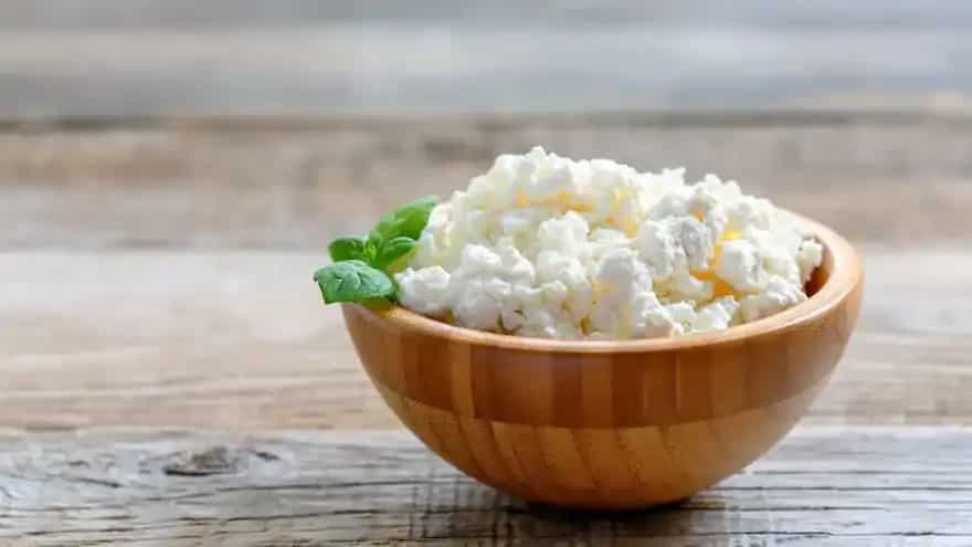 What Is Small Curd Cottage Cheese? How Can You Make It At Home?