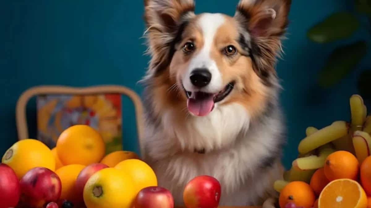 Top 8 Dog-Friendly And Nutritious Fruits