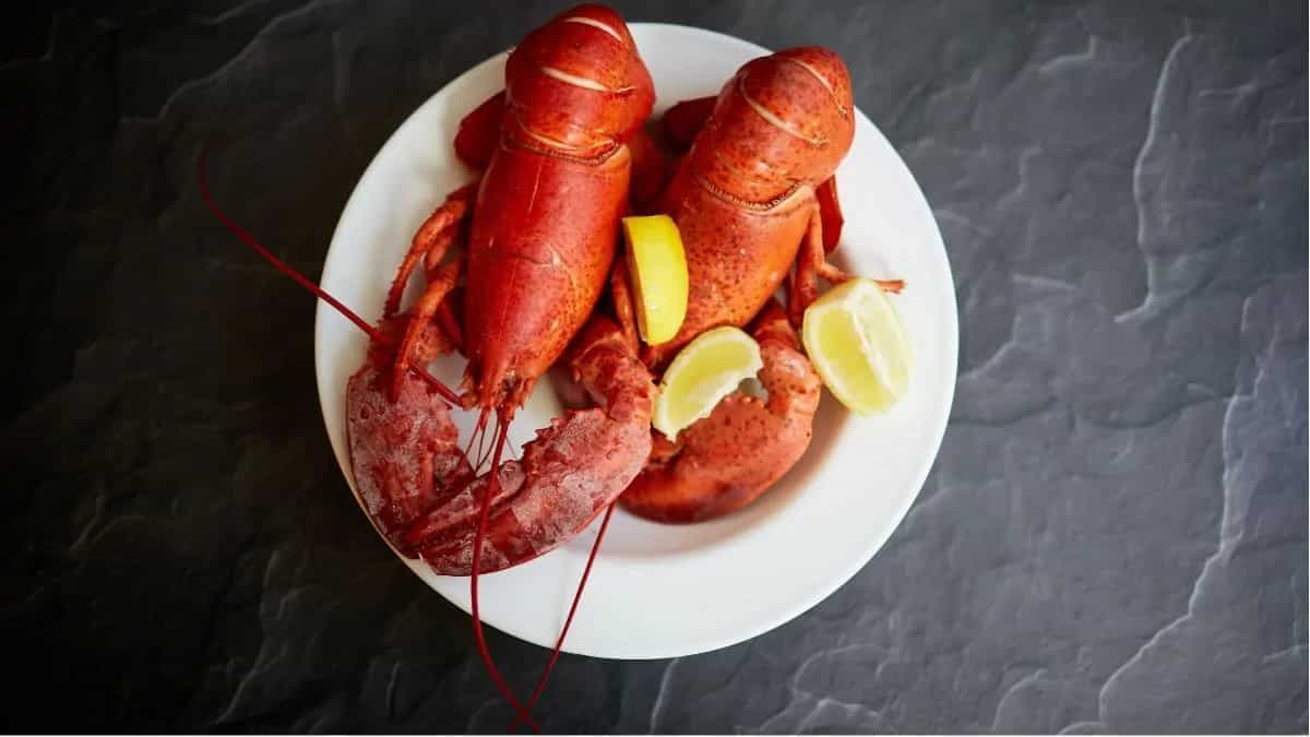 Quiz: Life is better with lobsters in it!