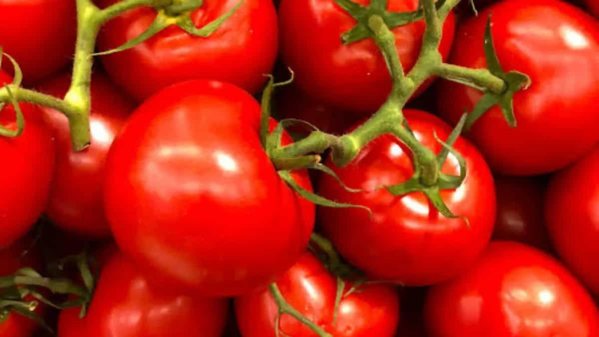 6 Benefits Of Adding Tomatoes To Your Summer Diet  