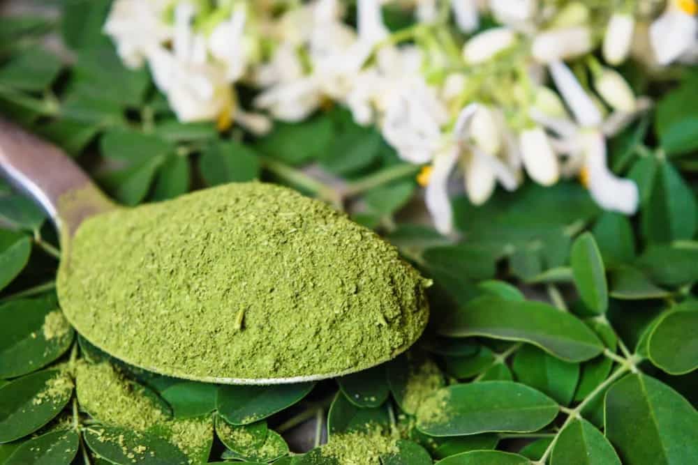 Moringa To Amaranth To Substitute Your International Superfoods?