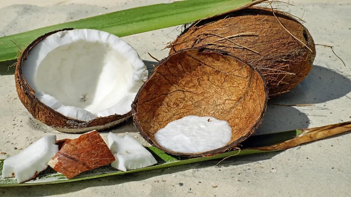 How To Utilise Every Bit Of A Coconut 