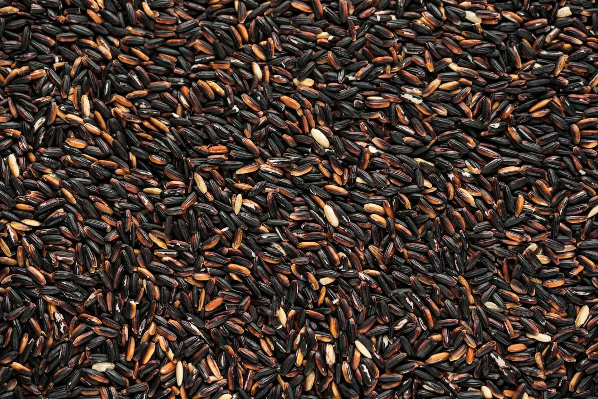 Learn These Tips To Cook Black Rice To Perfection 