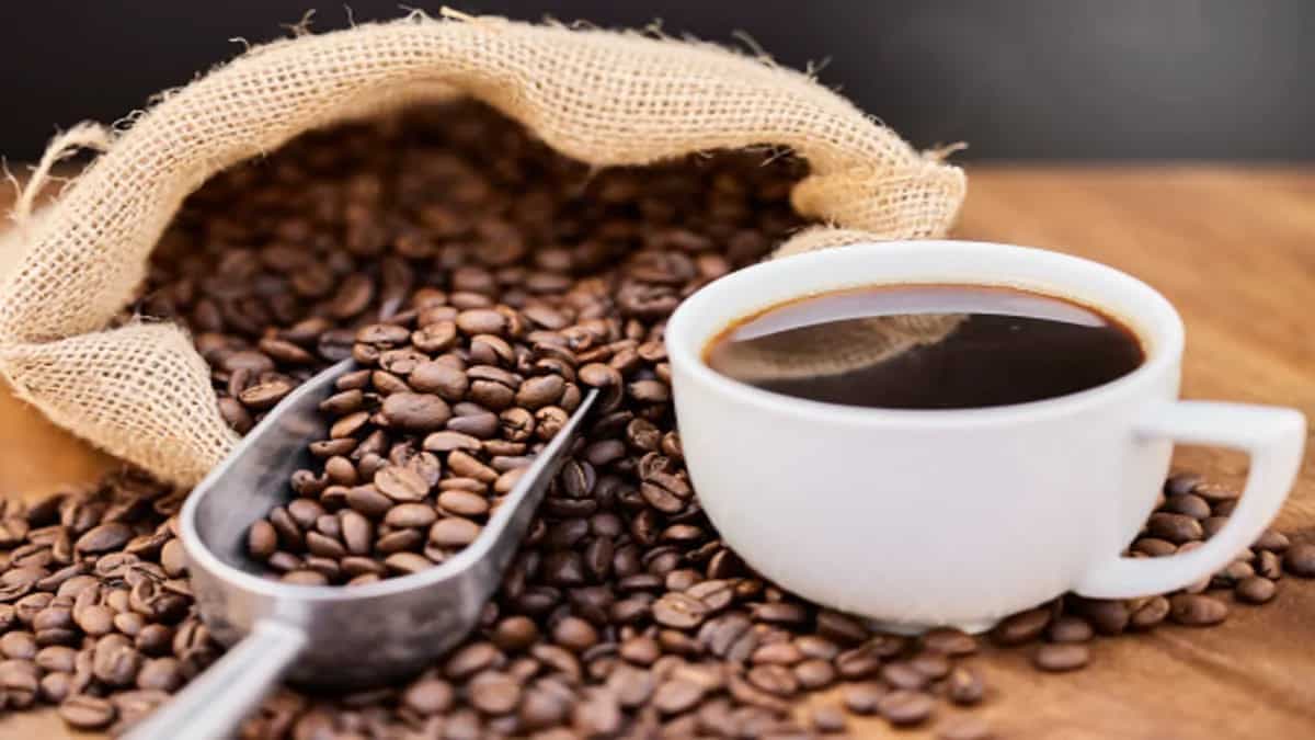 Can Nagaland Be The Next Destination For Indian Coffee?