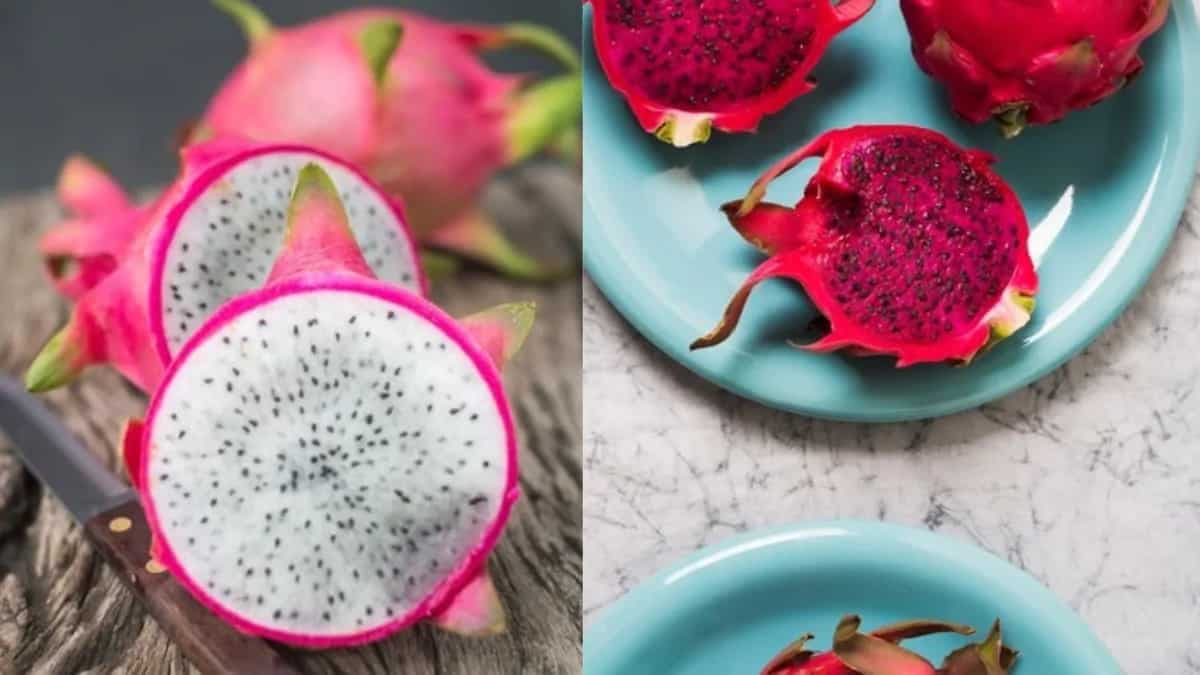 How To Grow Dragon Fruit At Home - A Beginner’s Guide