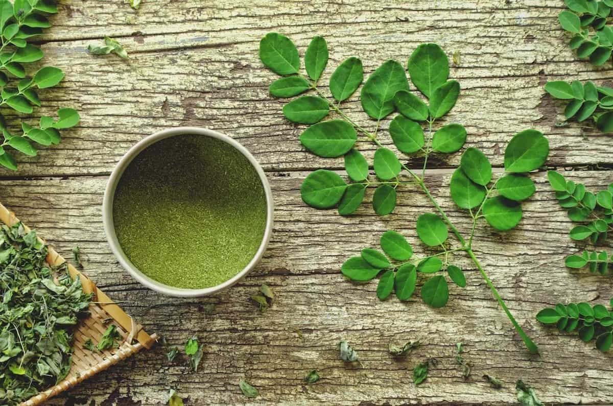 Moringa: This Miracle Tree Is A Nutritional Powerhouse