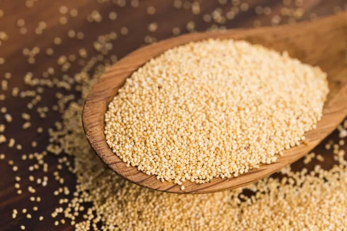 The Origin, History, And Uses of Poppy Seeds