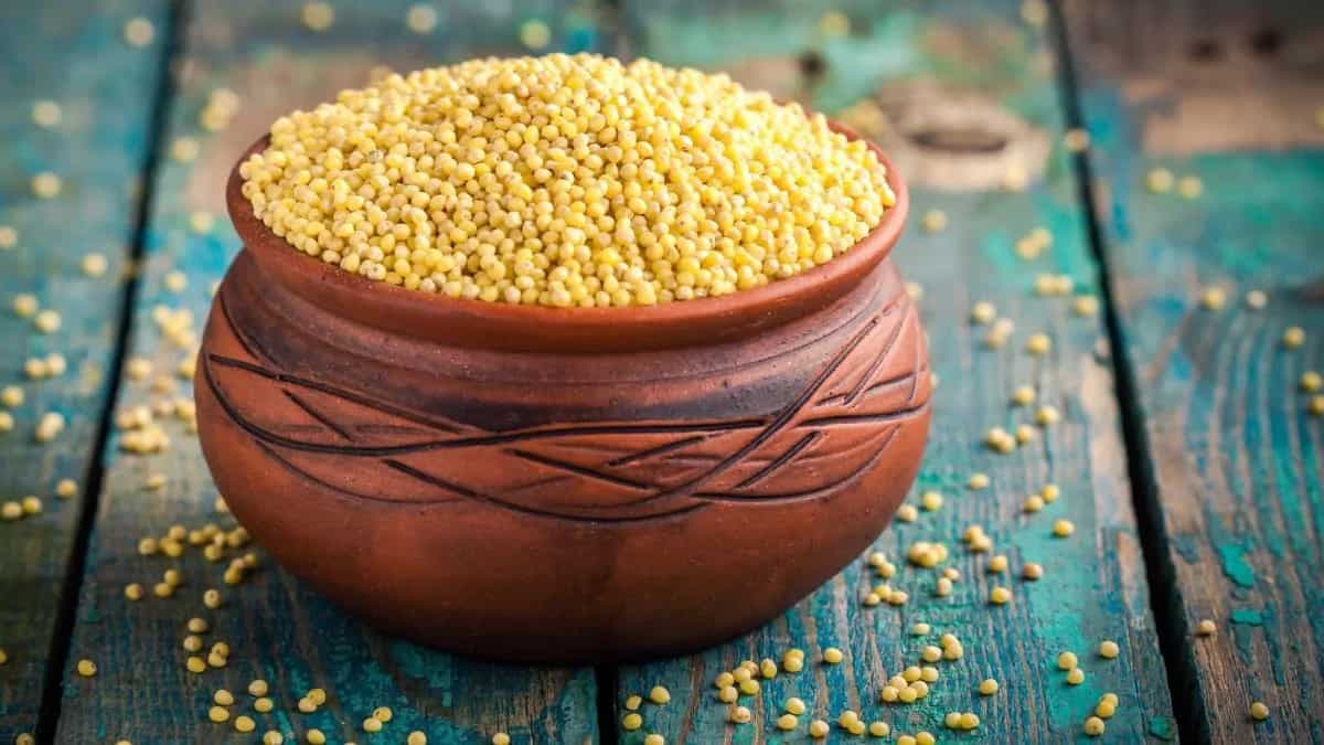 Abundance In Millets' Featuring PM Modi Earns A Grammy Nod