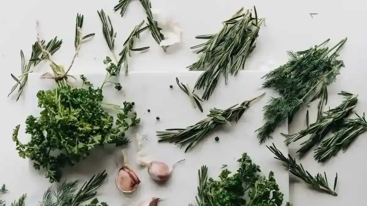 7 Common Herbs And How To Infuse Them Into Every Dish