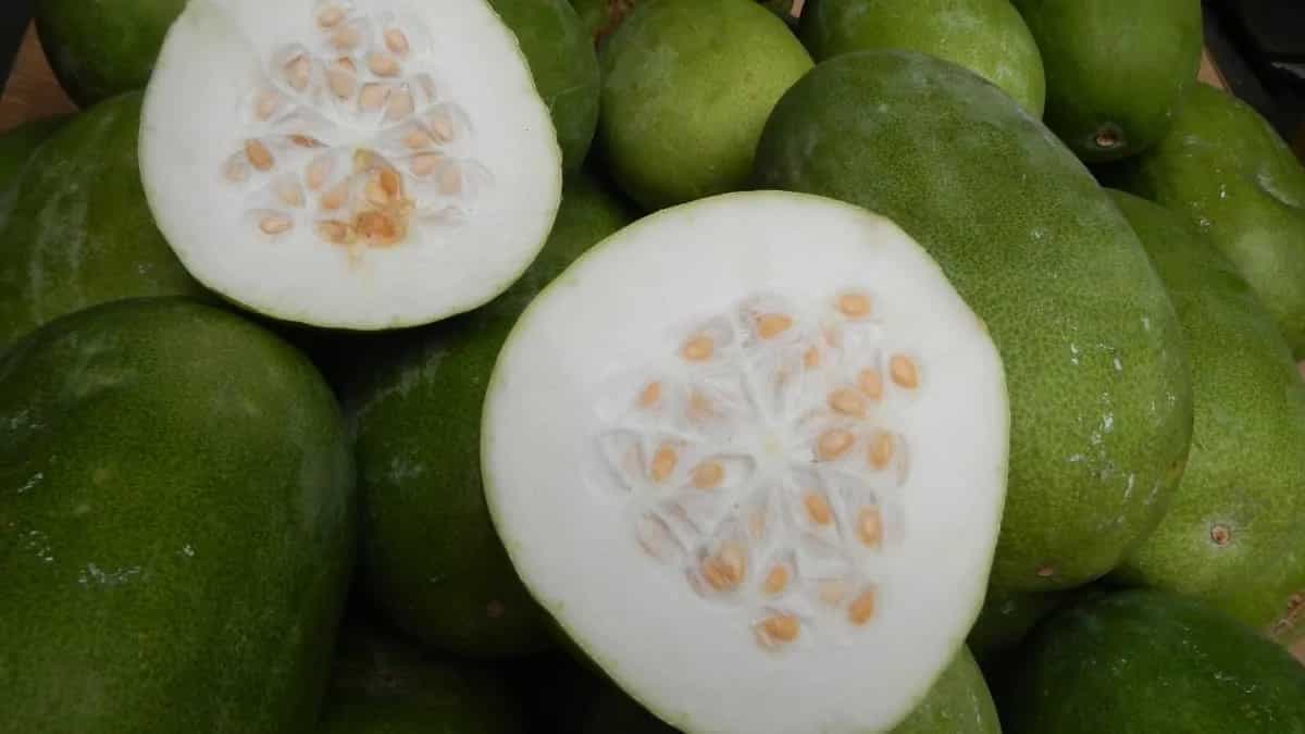 Got Petha? Try These Flavourful Desserts Made With Ash Gourd