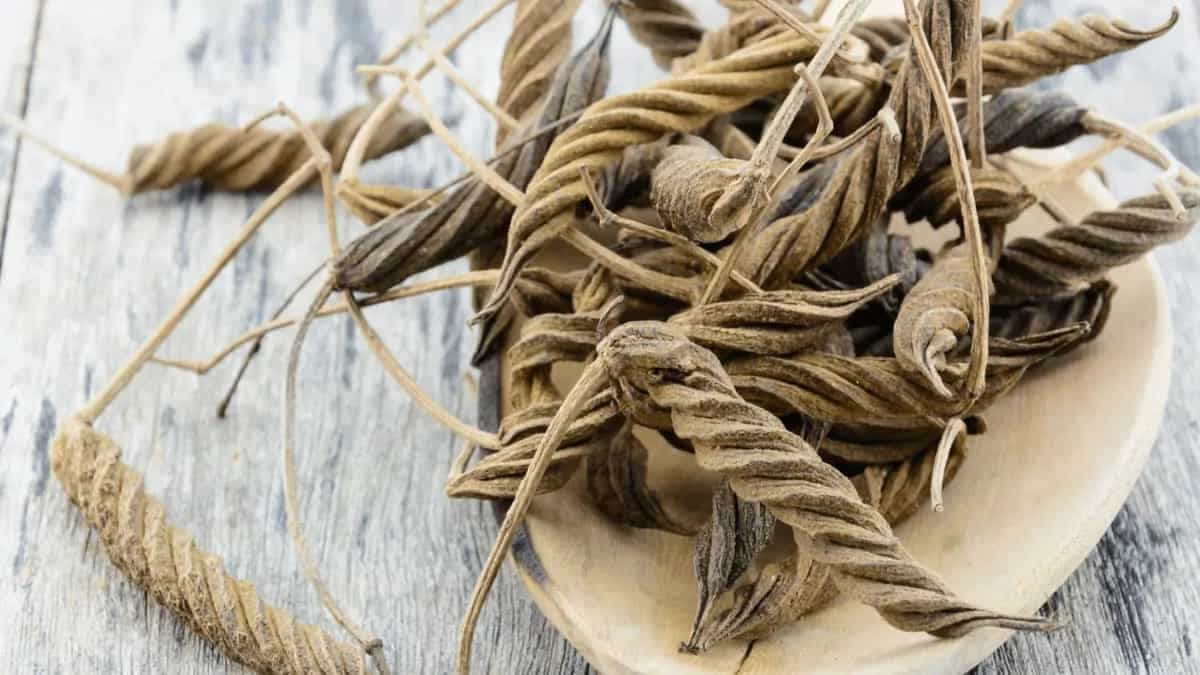 Marod Phali: All You Need To Know About The Medicinal Spice