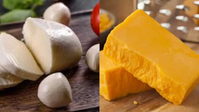 Mozzarella Vs. Cheddar Cheese: Know The Key Differences