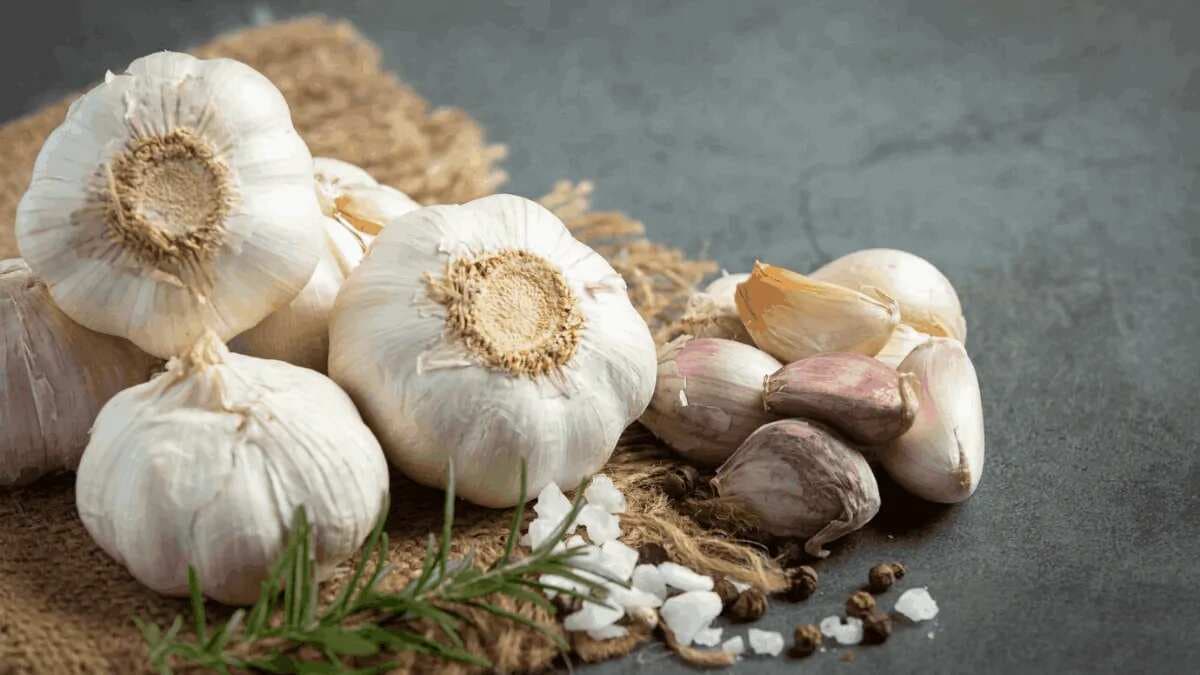 5 Easy Steps To Grow Garlic In A Container