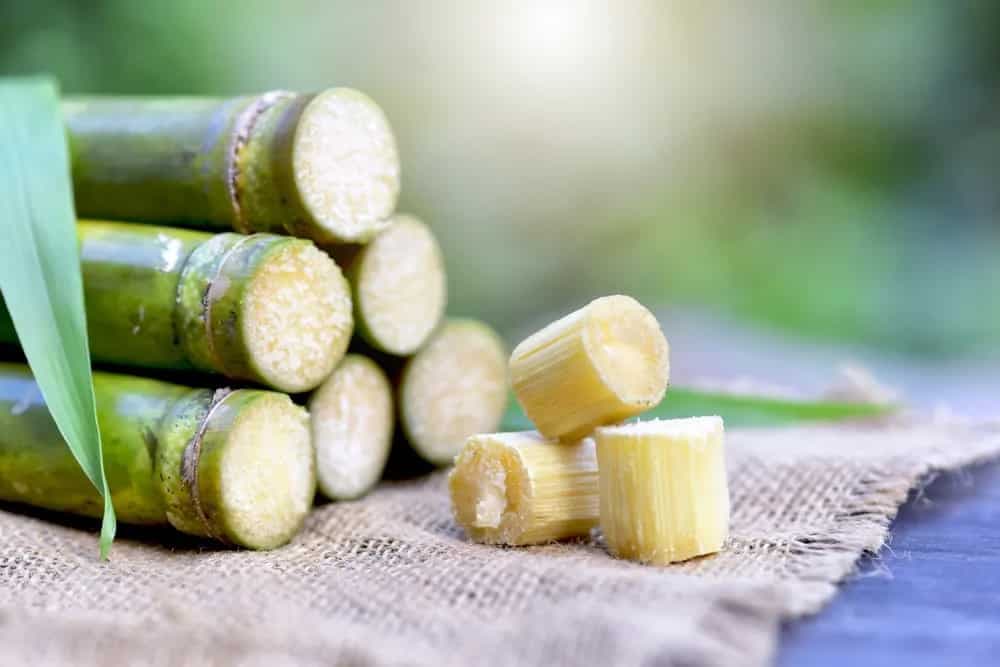 Sugarcane Juice Consumption To Be Minimised, Warns ICMR