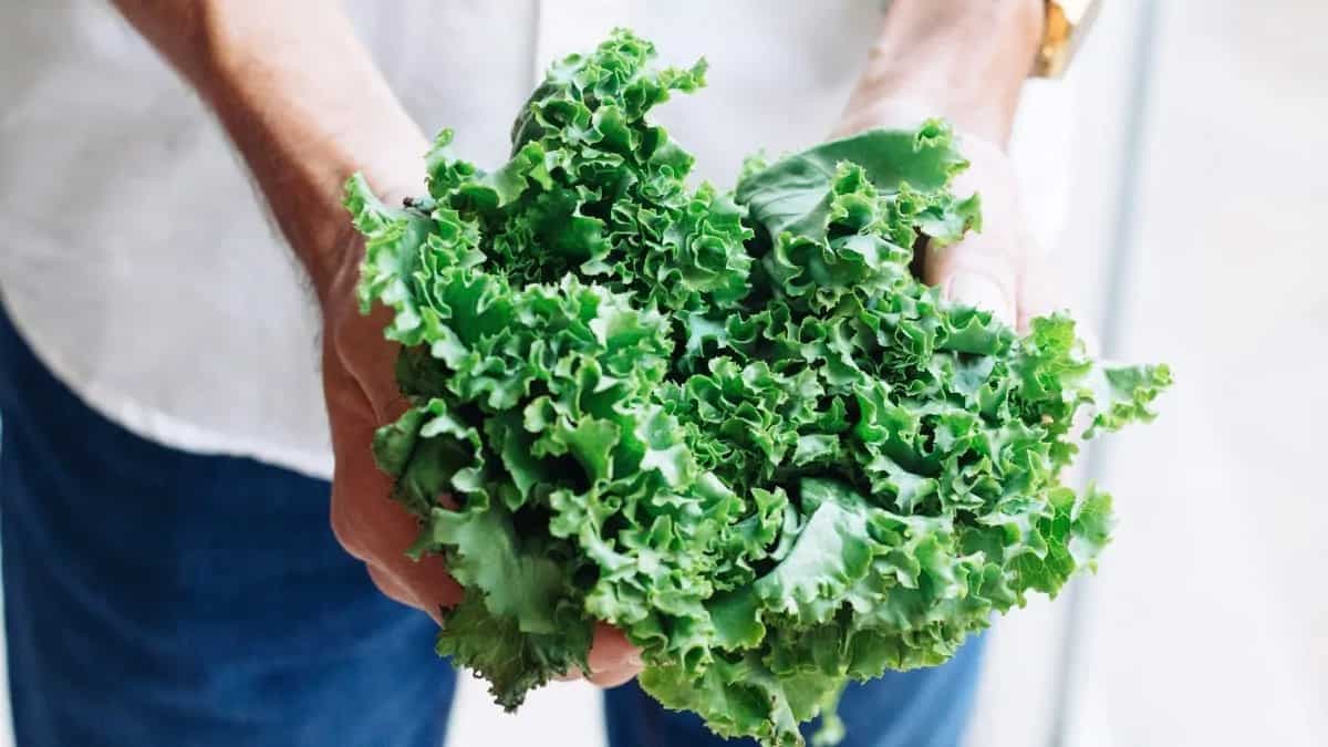 8 Vegetarian Foods That Are A Rich Source Of Vitamin K