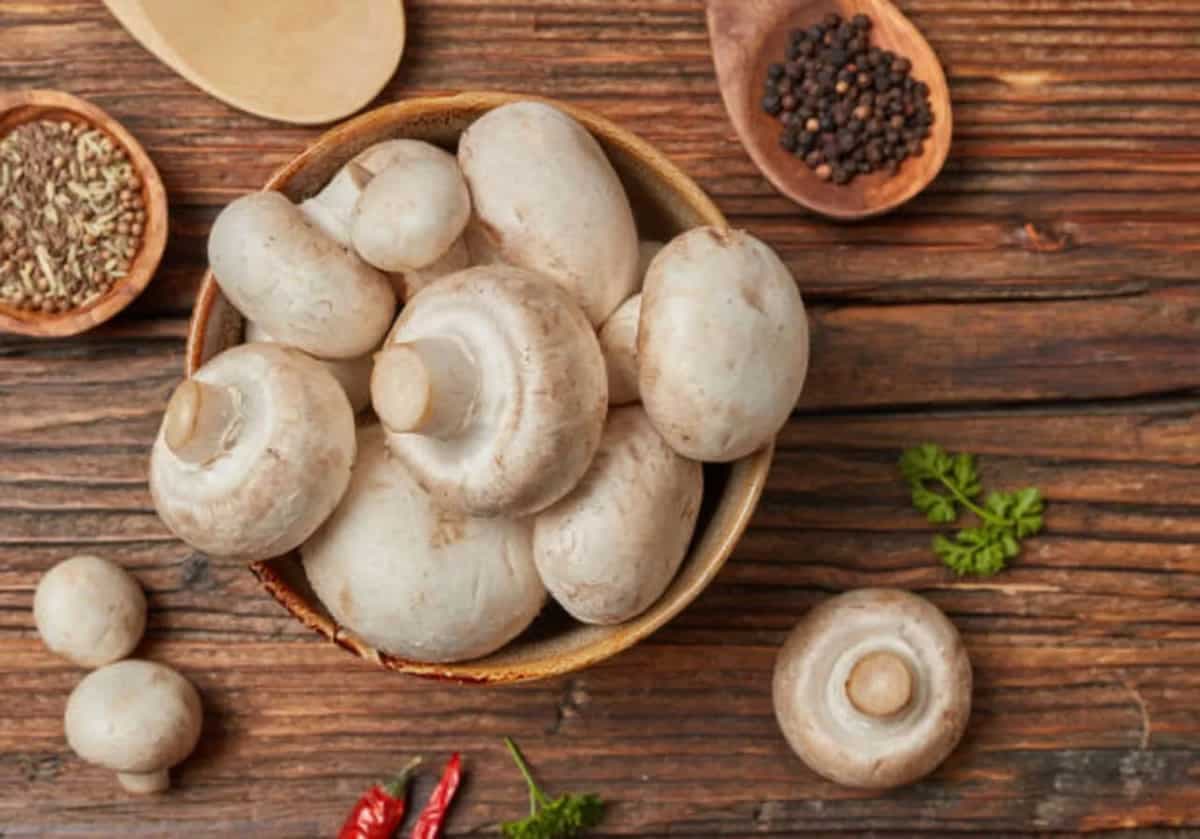 Exploring The Benefits And Side Effects Of Eating Mushrooms