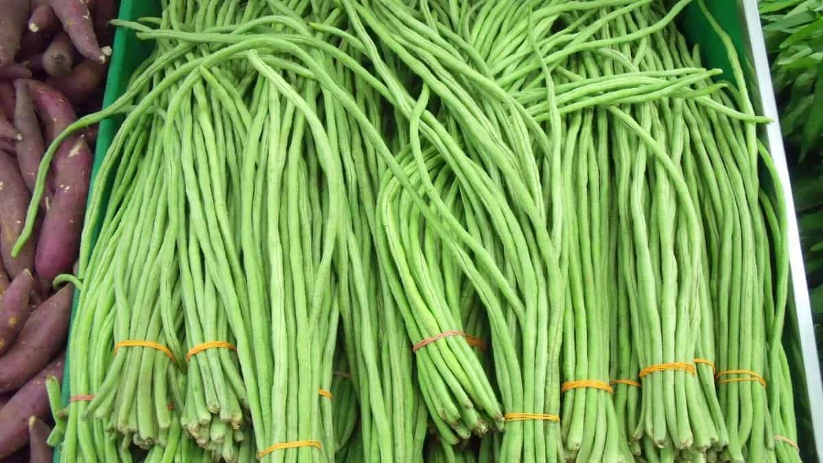 Cooking With Barbati? 7 Dishes You Can Make With Yardlong Beans