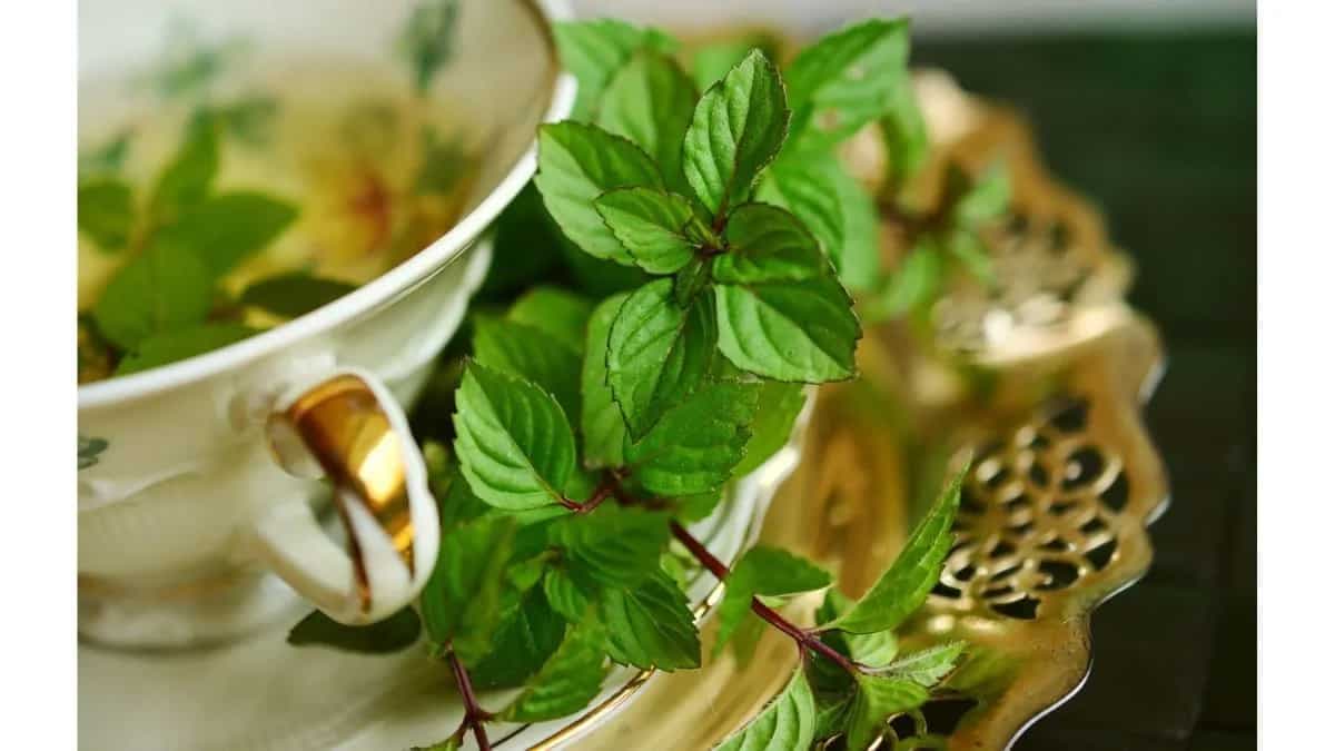 Health Benefits Of Herbal Teas: Top 5 Recipes For Wellness