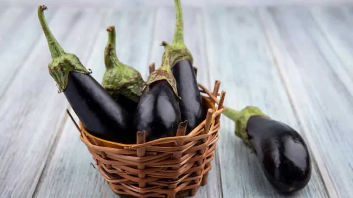 Delicious Eggplant Dishes From South India You Should Relish