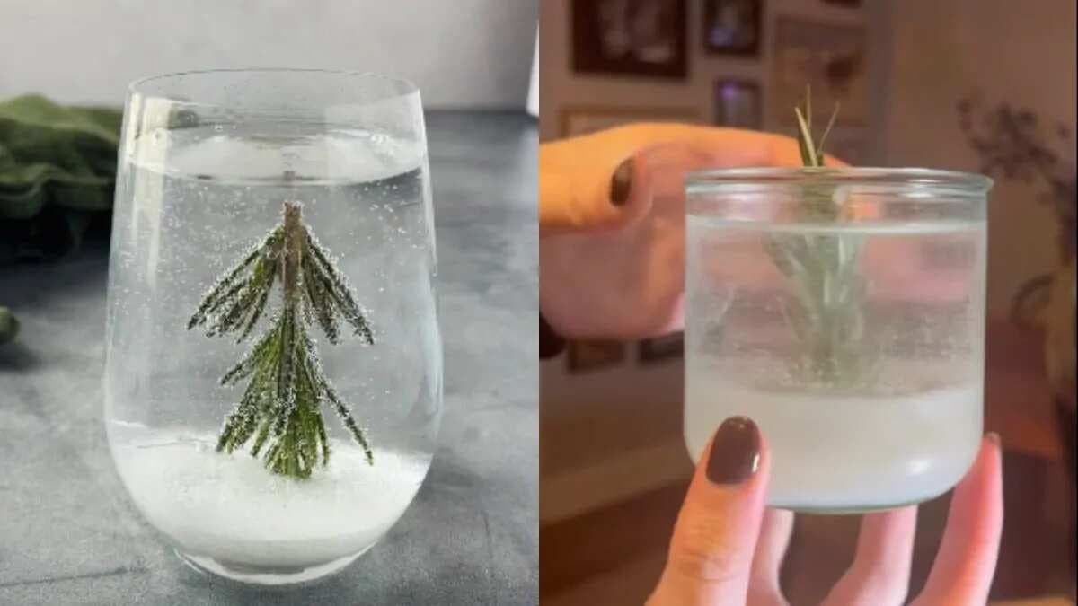 This Viral Snow Globe Cocktail Is All Things Christmas